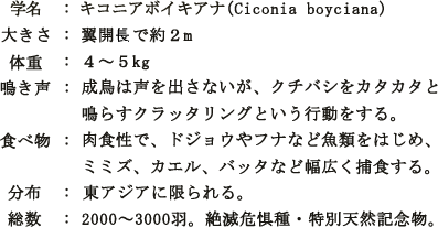 学名、大きさ、体重、鳴き声、食べ物、分布、総数