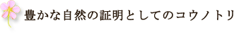 豊かな自然の証明としてのコウノトリ